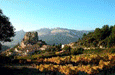 Writers' Workshop in Provence