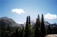 Spring Time Creative Writing & Journaling Workshops